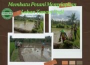 Babinsa Koramil Kalipuro Membantu Petani Siapkan Lahan Padi